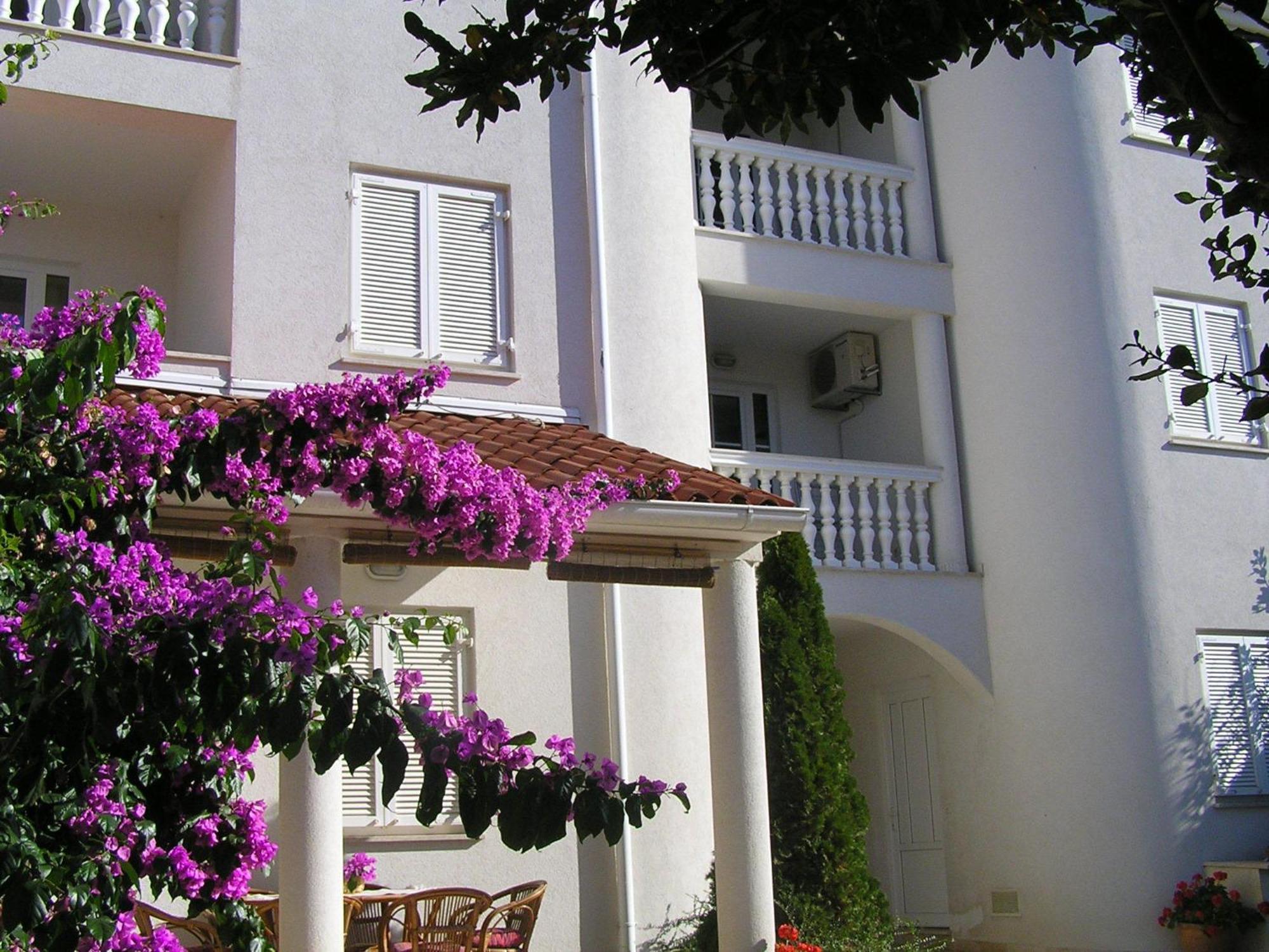 Apartments Paloma Blanca Медулин Экстерьер фото