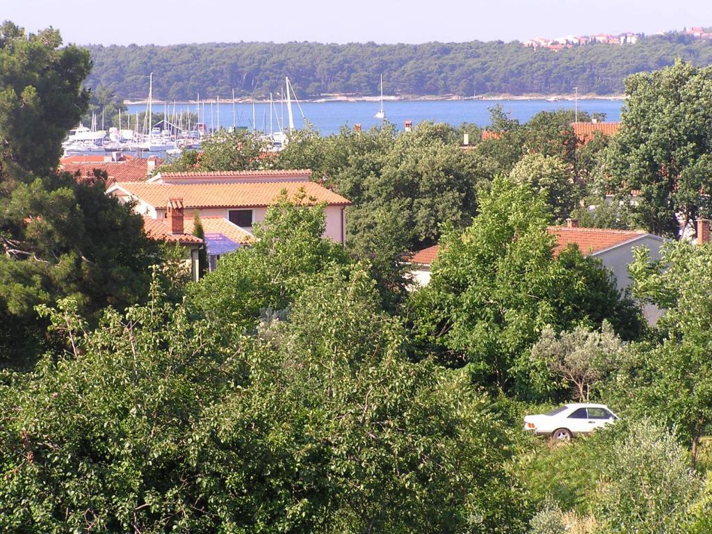 Apartments Paloma Blanca Медулин Номер фото