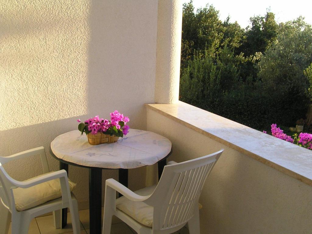 Apartments Paloma Blanca Медулин Номер фото