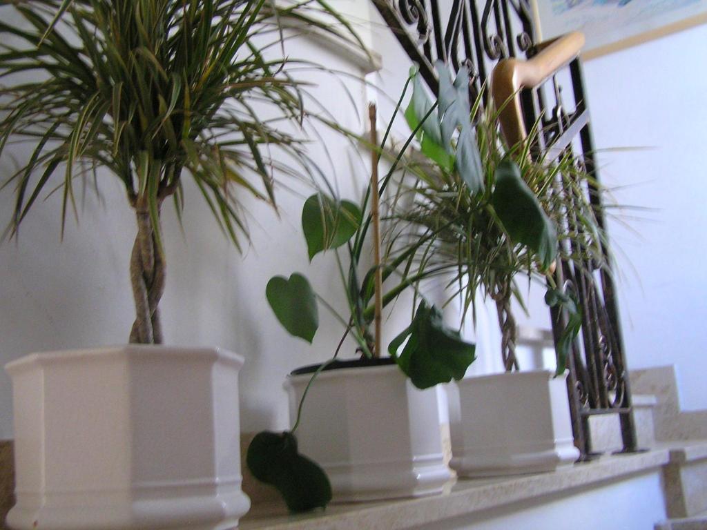 Apartments Paloma Blanca Медулин Номер фото