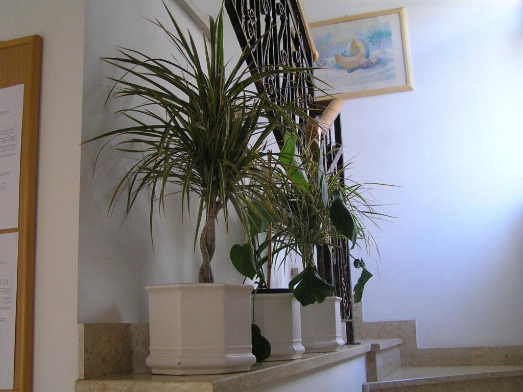 Apartments Paloma Blanca Медулин Номер фото