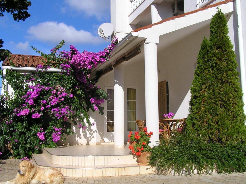 Apartments Paloma Blanca Медулин Номер фото